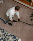 Carpet Cleaner